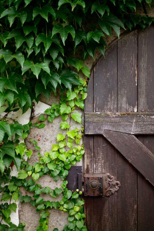 Obere Muehle - Scheunenwohnung Mitten Im Gruenen Baunach 외부 사진