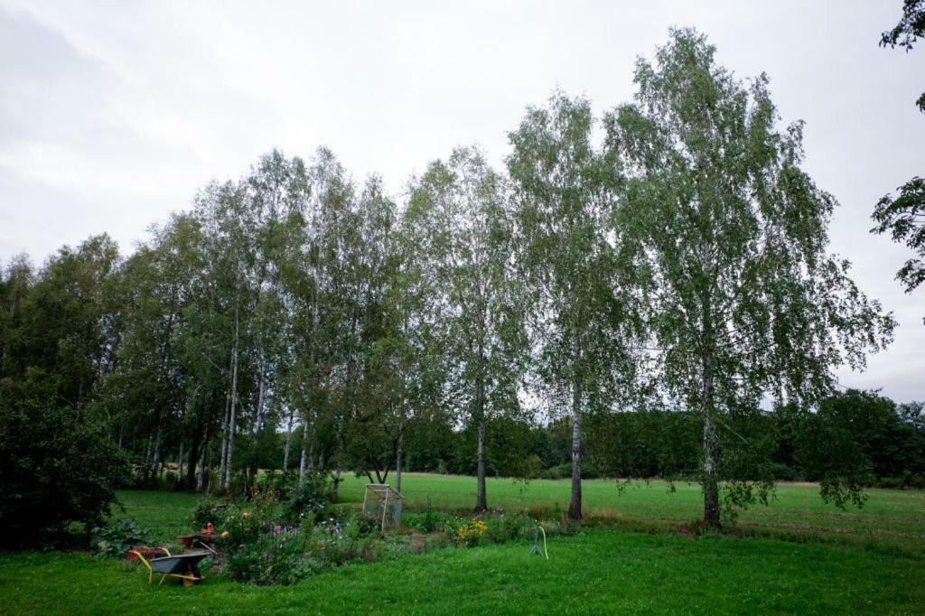 Obere Muehle - Scheunenwohnung Mitten Im Gruenen Baunach 외부 사진